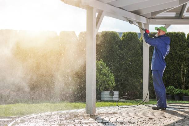 Best Solar Panel Cleaning  in Pleak, TX