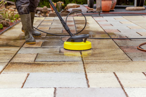Best Pre-Holiday Cleaning  in Pleak, TX