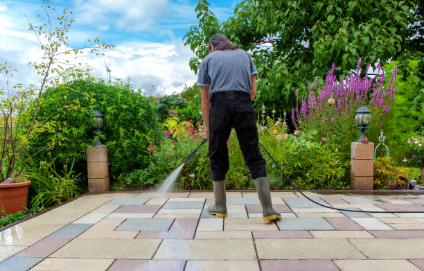 Best Sidewalk and Walkway Cleaning  in Pleak, TX
